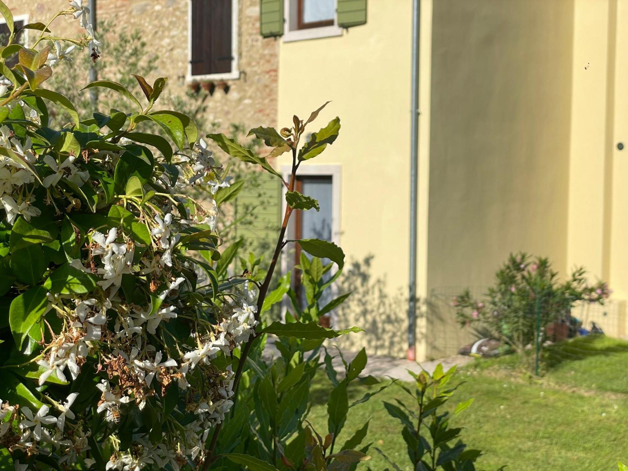 Casa Carlotte - Lago Di Garda Lazise Extérieur photo