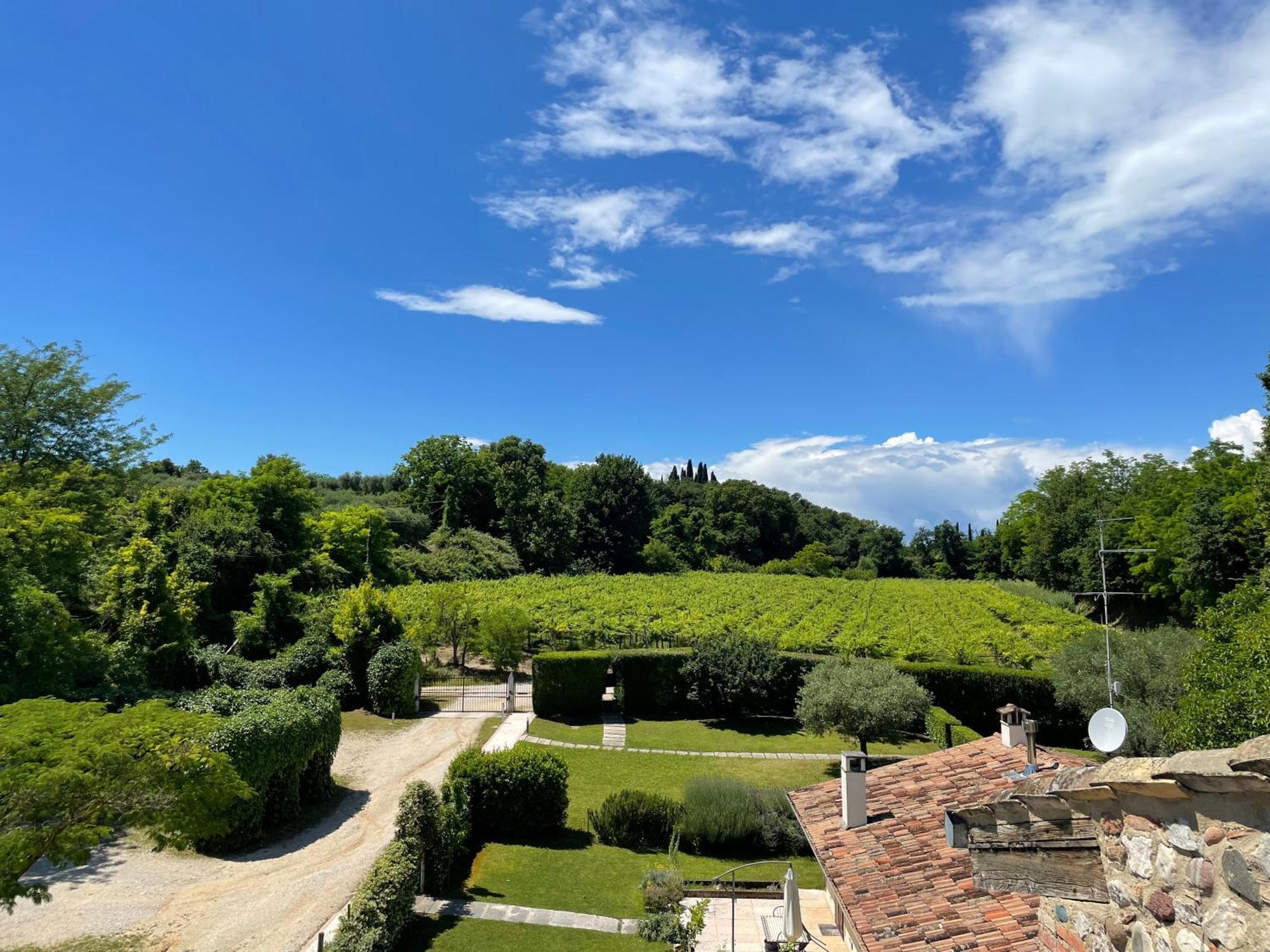 Casa Carlotte - Lago Di Garda Lazise Extérieur photo